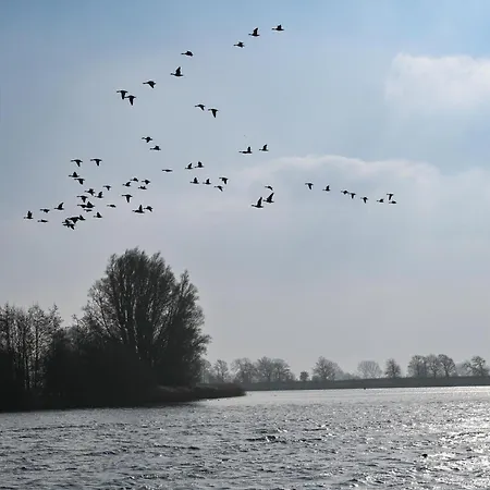 بيت للعطل - Eiderufer 3 *