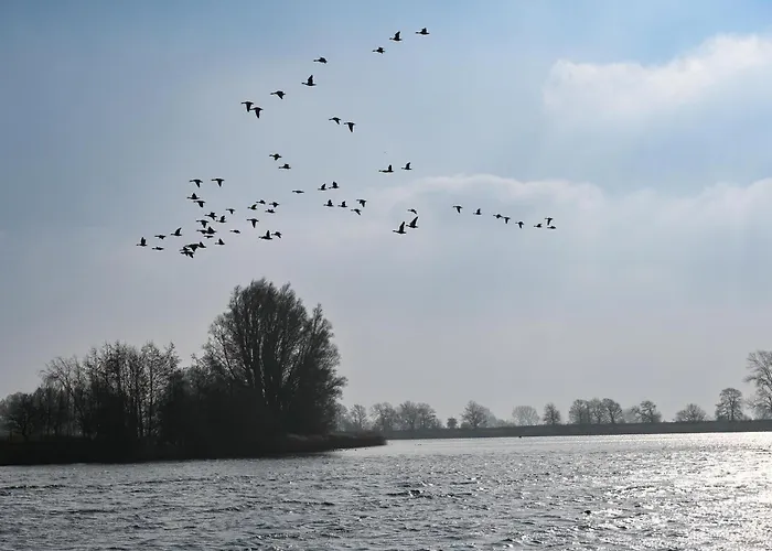 Vakantiehuis - Eiderufer 3 *